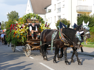 Gespann der Brauerei Ottenbräu | © Kneitinger