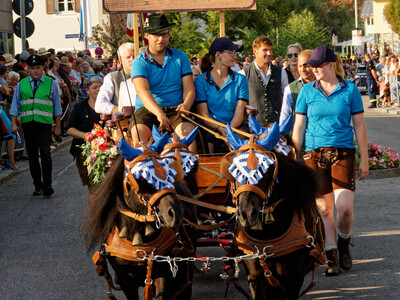 Weinzelt-Gespann | © Scherübl
