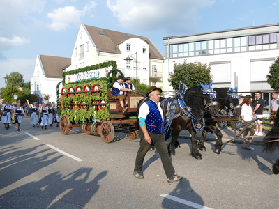Gespann der Brauerei Kuchlbauer | © Kneitinger