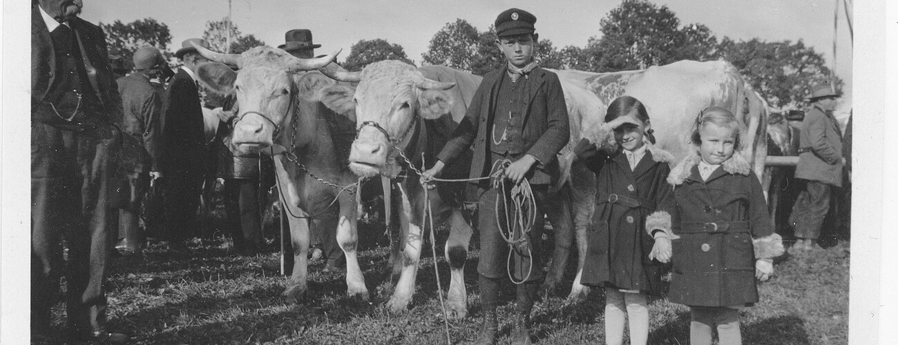 Holzapfel Kinder mit Ochsen am Gillamoos, um 1930 | © Familie Holzapfel