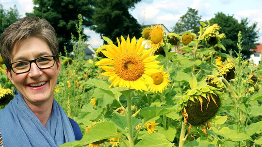 Das Spiel, das Deine Welt verändert