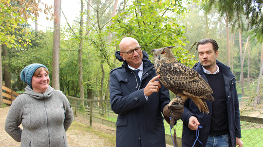 Eine echte Aufwertung