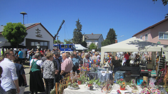 Spargelmarkt Sandharlanden 2022 abgesagt