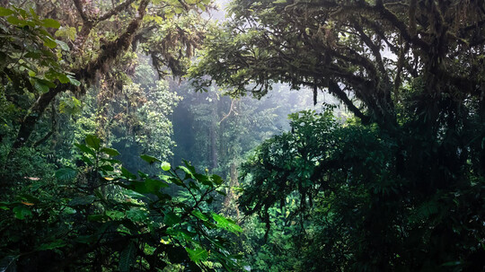 Photogilde eröffnet Ausstellung