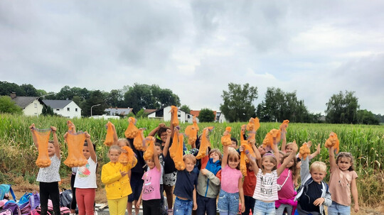Grundschüler auf dem Gutshof