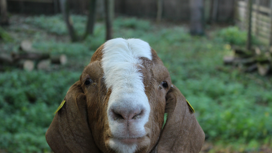 Hier ist das Pfingstferienprogramm