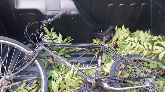 Fundräder: Uns geht der Platz aus