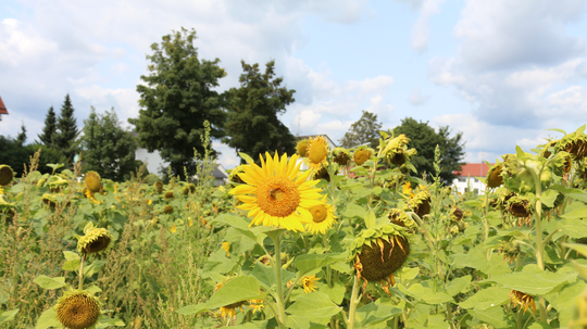 10.000 Euro für die Energiezukunft