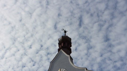 „Mikrozensus 2024“ startet