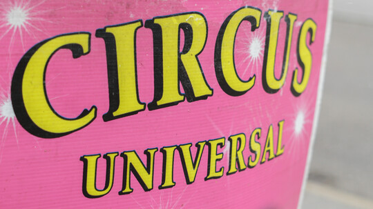 Circus Feraro wieder auf der Gillamooswiese zu Gast