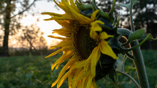 Jetzt zu Naturstrom Abensberg wechseln