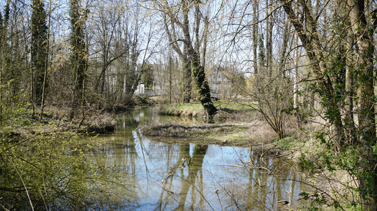 ILE ABeNS sucht Regionalmanager