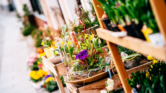 Frühjahrsmarkt & Messe | © Pieknik