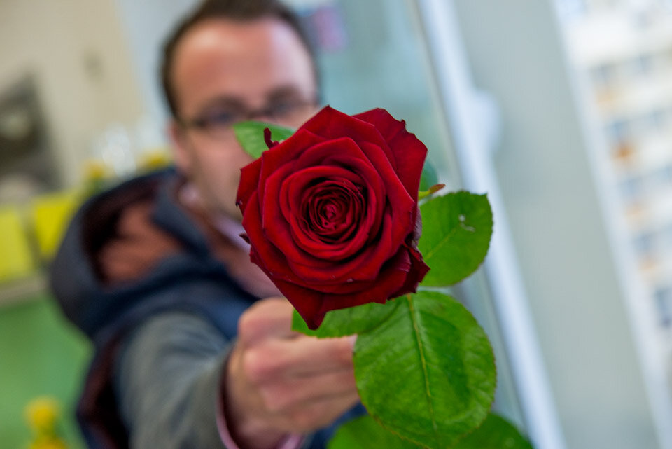 Weltfrauentag Rose für Damen